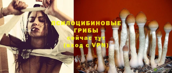 прущая мука Абаза