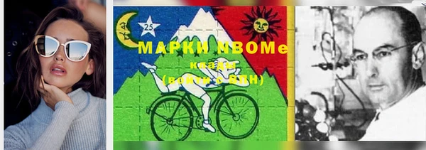 прущие грибы Абдулино