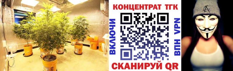 kraken как войти  Лиски  ТГК THC oil  купить наркоту 